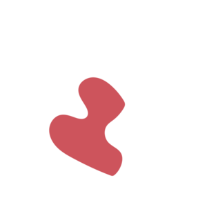 1a4307d4-placeholder-1768563118