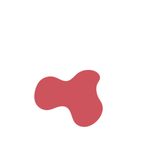 951a15b4-placeholder-1769191366