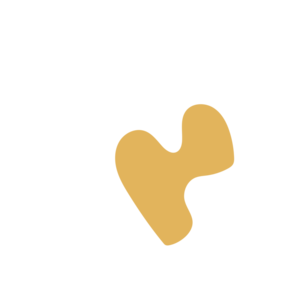 3d0cadff-placeholder-1768563117