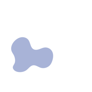 202b6e9a-placeholder-1768563118