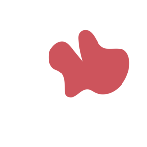 532a864f-placeholder-1770024821