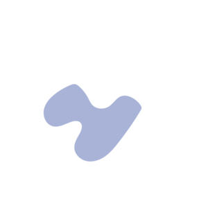 2e8bdb58-placeholder-1768563117