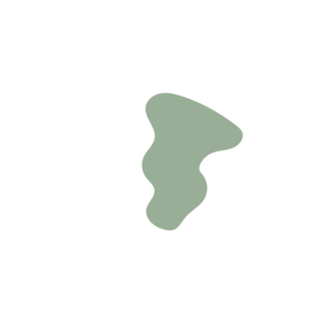 693cd378-placeholder-1768563116