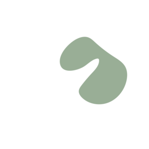 0a12cd41-placeholder-1770005748