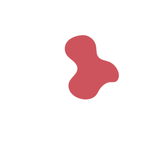 66b3bb3b-placeholder-1770453756