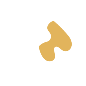 A1470412-placeholder-1768563114