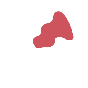 9ff88c94-placeholder-1770025877