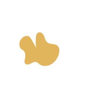 Cb8de507-placeholder-1770009163