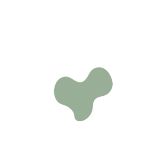 75808f1f-placeholder-1769995977