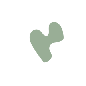 D5a3f47a-placeholder-1770031395