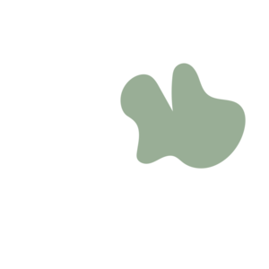 17c2d18f-placeholder-1770056252