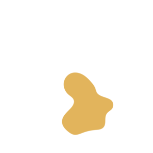 D699093d-placeholder-1770005749