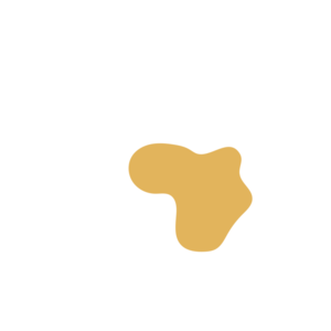 89846b8f-placeholder-1768563114