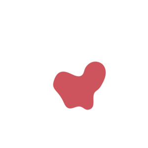 73d9ccf9-placeholder-1768563113