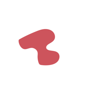 E798e1a6-placeholder-1770015570