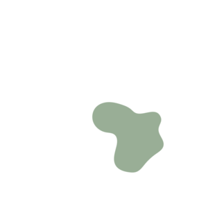 2b93f95a-placeholder-1768563112