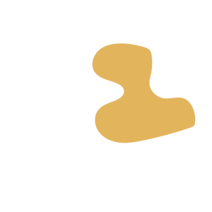 1666e48e-placeholder-1768563111