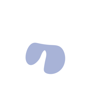 Ff6feefb-placeholder-1770009255