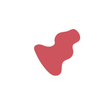 0ae441f9-placeholder-1770013318