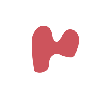 309f5fb7-placeholder-1768563109