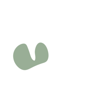 8d871475-placeholder-1770012832