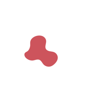 Ae793345-placeholder-1770050350