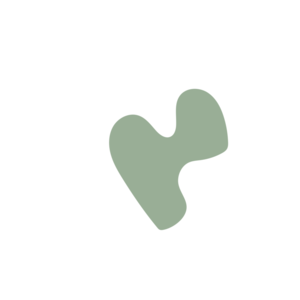 B3c0ac55-placeholder-1770018244