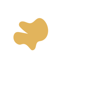 F312e883-placeholder-1768563109