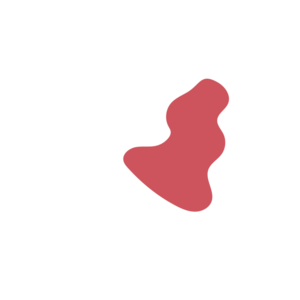 5fc33410-placeholder-1770006915