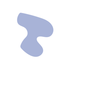 4454f323-placeholder-1768563110