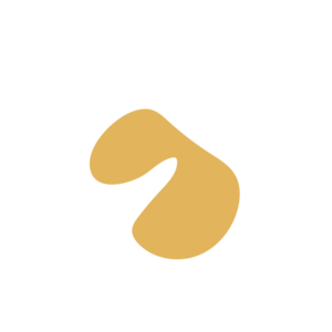 D2bb2018-placeholder-1768563072