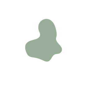 2349015b-placeholder-1770020568