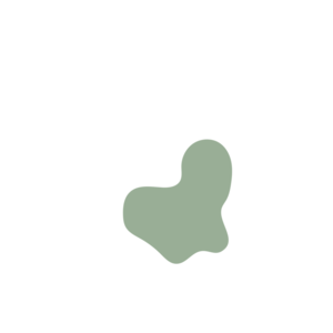 23155d23-placeholder-1770018450