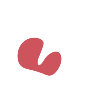 935f4d31-placeholder-1768563073