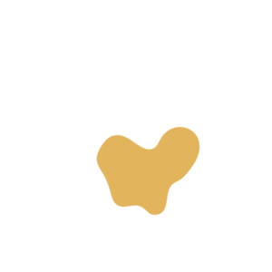 6f6581aa-placeholder-1773248694