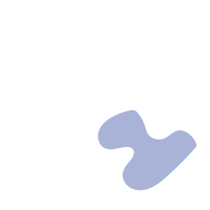 D29cd53f-placeholder-1770013783