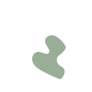 E41de8a0-placeholder-1768563070