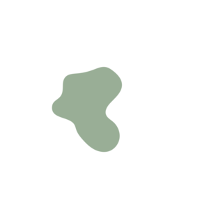 A231d6f6-placeholder-1768563070