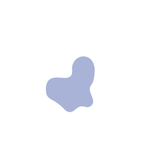 048e2121-placeholder-1768563070