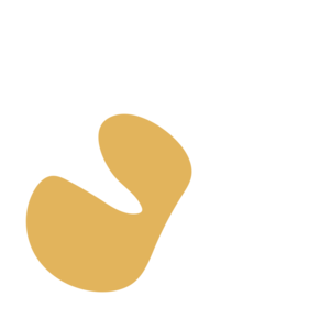 C34082c7-placeholder-1768563068