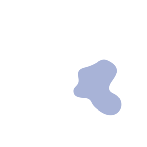 1743ef8b-placeholder-1770056422