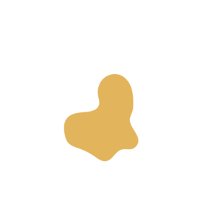 D9dc5242-placeholder-1769998966