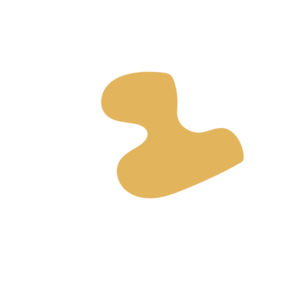 5ca46d4d-placeholder-1770029151