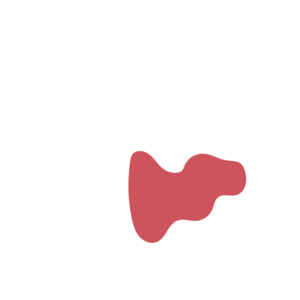 08966588-placeholder-1769018723