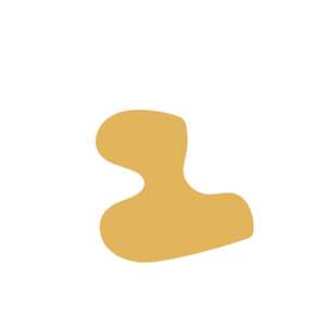 68c858f7-placeholder-1768563068