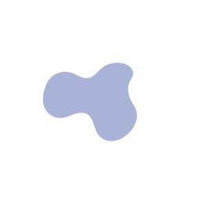 6405786f-placeholder-1769997007