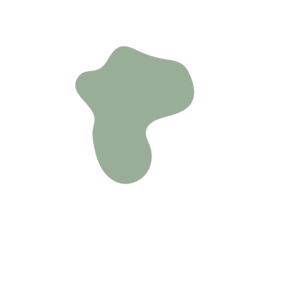 6ae9b9a4-placeholder-1768563067