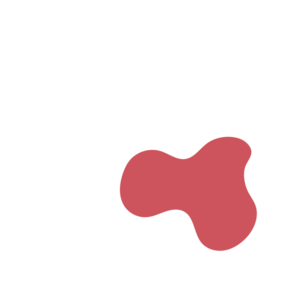 66ff21c4-placeholder-1768563066