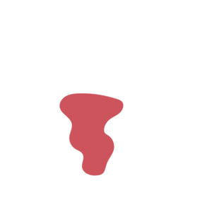 A540f822-placeholder-1770050833