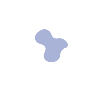 D41d2bb6-placeholder-1768563067